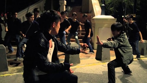 Fist of Dragon (2011)