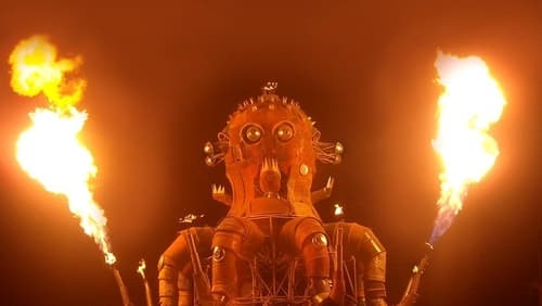 Burning Man and the Meaning of Life (2013)