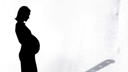 The Surrogacy Trap (2013)