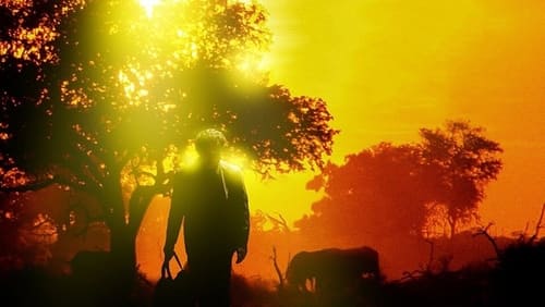 The Accidental Missionary (2012)