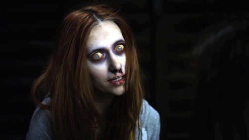 The Haunting of Whaley House (2012)