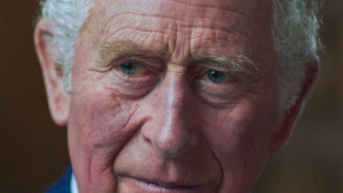 Survivors: Portraits of the Holocaust (2022)