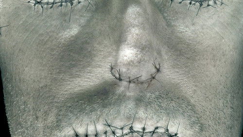 Chilling Visions: 5 Senses of Fear (2013)