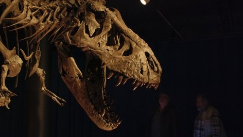 The Bones (2024)