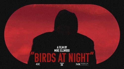 Birds at Night (2023)