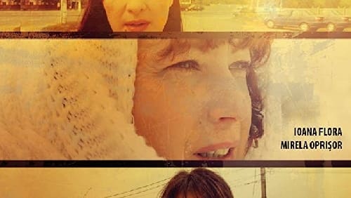 Déjà Vu (2013)