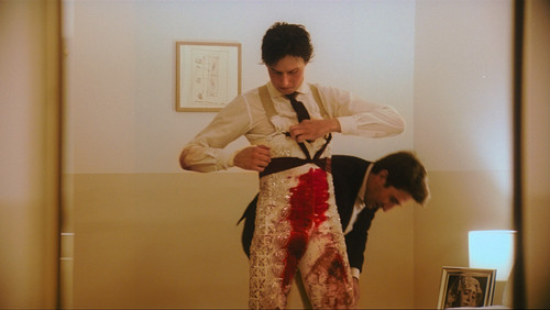 Afternoons of Solitude (2024)