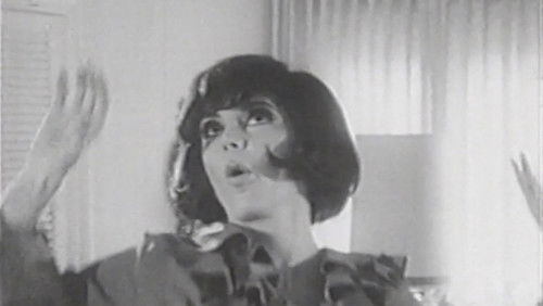 Spy on the Fly (1967)