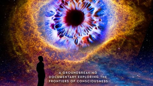 Contemplations: On the Psychedelic Experience (2022)