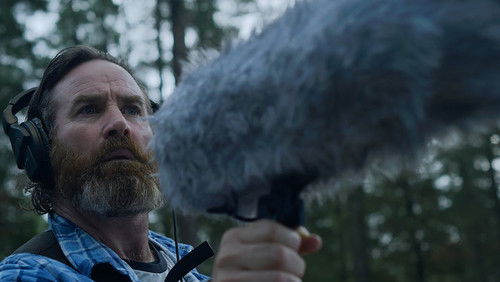 Within the Pines (2024)