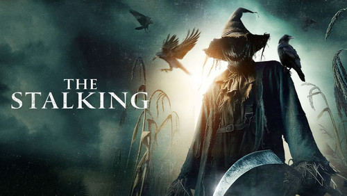 The Stalking (2024)