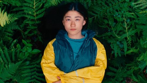 Soft Leaves (2025)