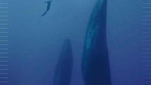 Freediver (2024)