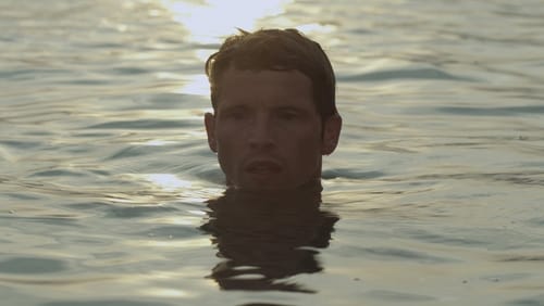 Der Fremde am See (2013)