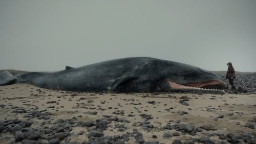 Hvalfjörður (Short 2013)