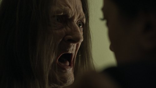 The Home (2025)