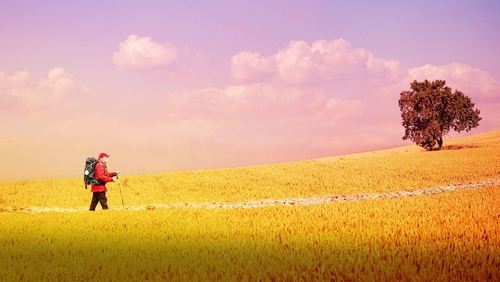 The Way, My Way (2024)