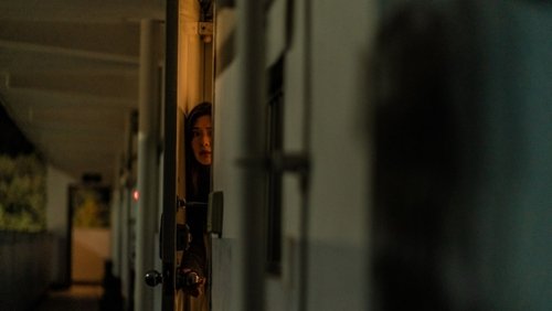 Noise (2024)