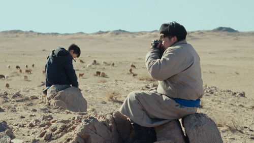 The Wolves Always Come at Night (2024)