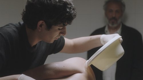 Six pieds sur Terre (2023)