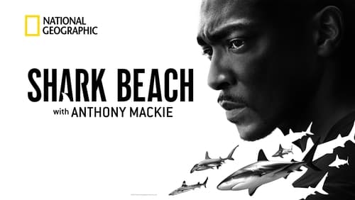 Shark Beach with Anthony Mackie (2024)