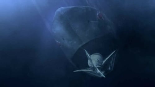 Mega Shark vs. Mechatronic Shark (2014)