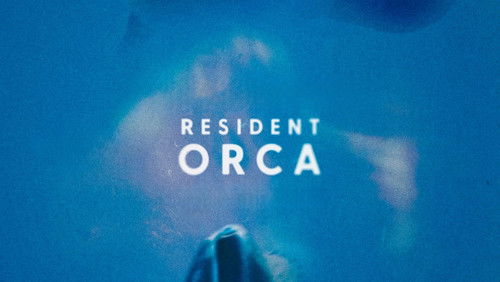 Resident Orca (2024)