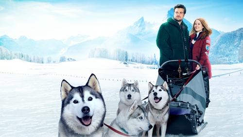 The Finnish Line (TV Movie 2024)