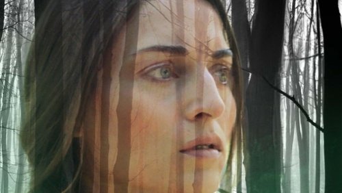 Echoes in the Dark (2024)