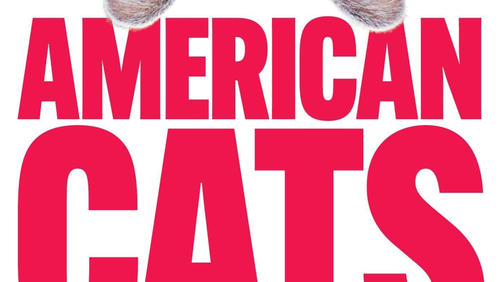 American Cats: The Good, the Bad, and the Cuddly (2024)