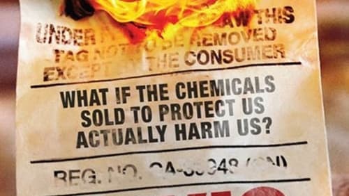 Toxic Hot Seat (2013)