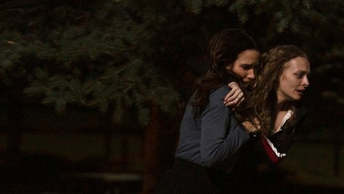 The Stranger in My Home (2025)