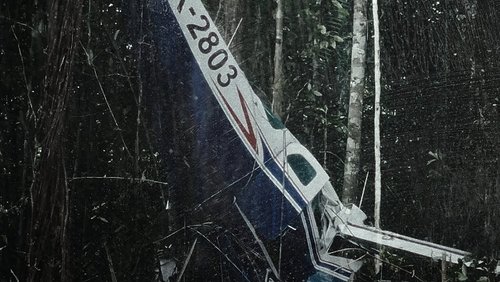 Lost in the Amazon (2024)