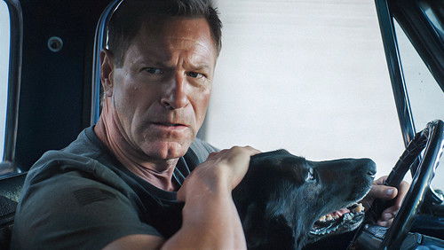 Muzzle: City of Wolves (2025)