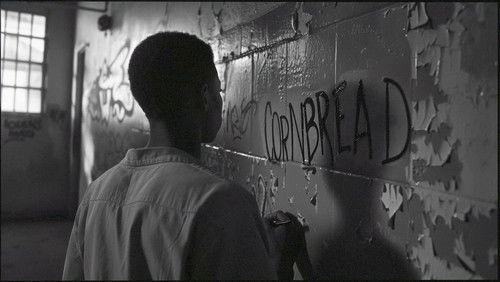 Microphone Check (2024)