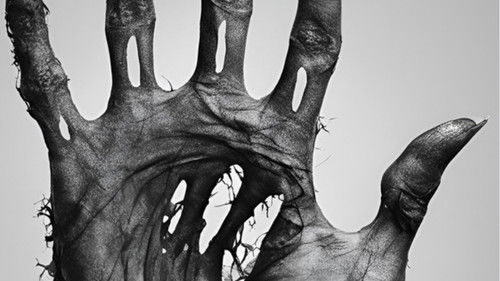 Im Still Here (2024)