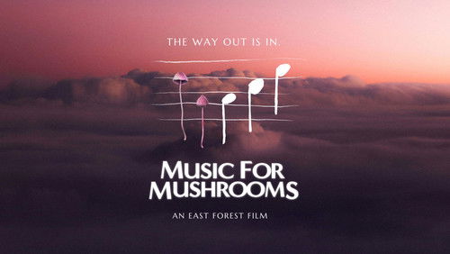 Music for Mushrooms (2024)