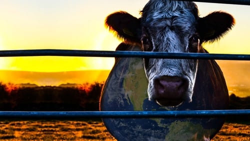 Cowspiracy – Das Geheimnis Der Nachhaltigkeit (2014)