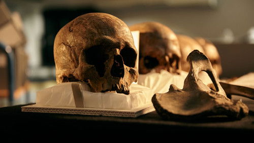 World’s First Battlefield (2023)