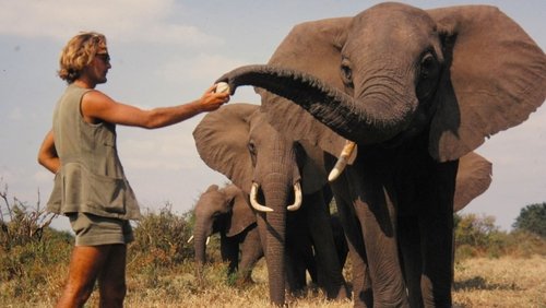 A Life Among Elephants (2024)