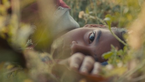 Humans in the Loop (2024)