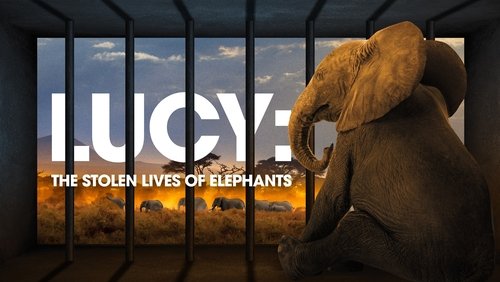 Lucy: The Stolen Lives of Elephants (2025)