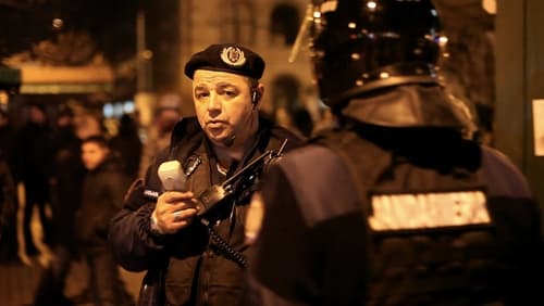 Bucuresti, unde esti? (2014)