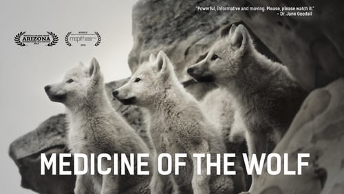 Medicine of the Wolf (2015)