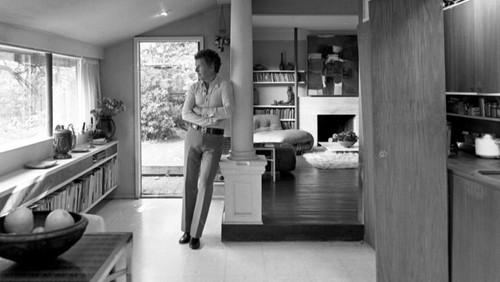 Arthur Erickson: Beauty Between the Lines (2024)