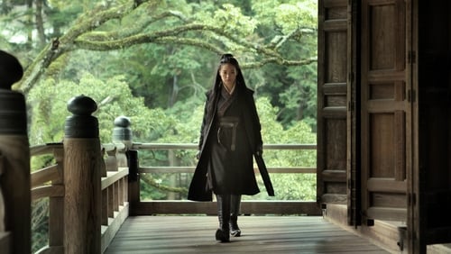 The Assassin (2015)