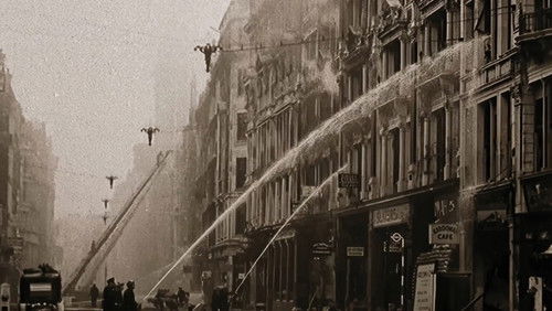 Life During the War (2025)