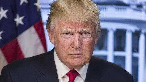 Trump: America Interrupted (2020)