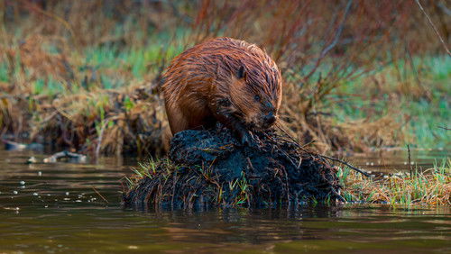 The American Southwest (2025)