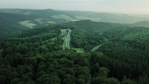 The Green Hell (2016)